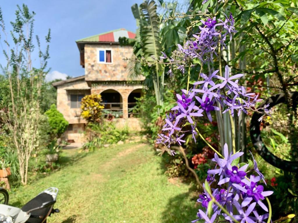 Maison Au Calme Dans La Nature Kpalimé Exterior foto